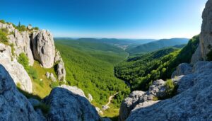 découvrez la roche beuty à la bresse, un site incontournable pour les amateurs de randonnée offrant des panoramas spectaculaires au cœur des vosges.